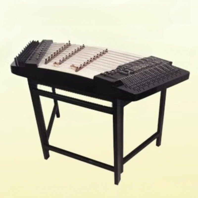 Musical Instrument I Play - 전문가용 미니 8/12음 목재 양친 어린이