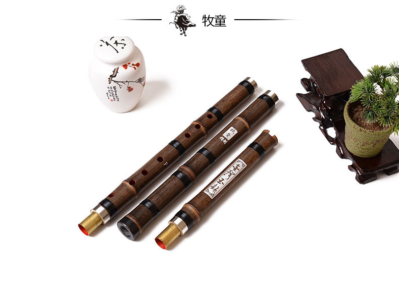 중국 대나무 플루트 샤오 수직형 관악기 디지 플루트 8 - Musical Instrument Xiao 리뷰 및 가격