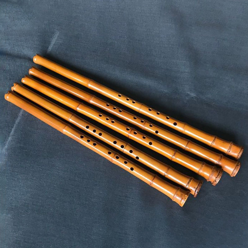 8홀 대나무 샤오 중국 전통 수직 대나무 플루트 초보자 - Musical Instrument I Play 리뷰 및 가격