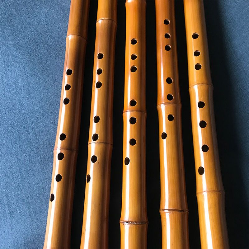 8홀 대나무 샤오 중국 전통 수직 대나무 플루트 초보자 - Musical Instrument I Play 리뷰 및 가격