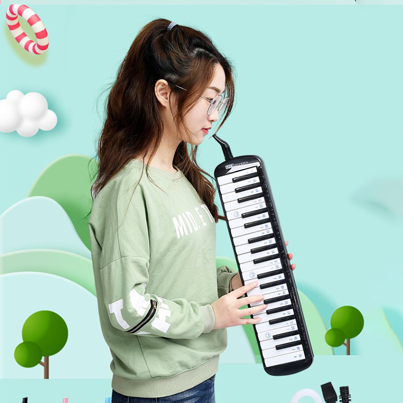 32/37 키 멜로디카 마우스 오르간 뮤직 파이프 전문 - Musical Instrument Pipe 리뷰 및 가격